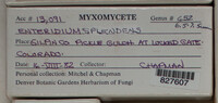 Image Associated With the Occurence